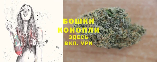 гидра Покачи