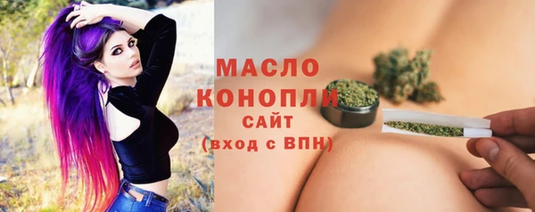 гидра Покачи