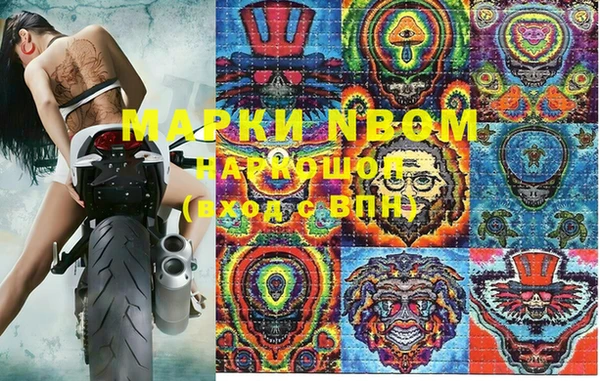 гидра Покачи