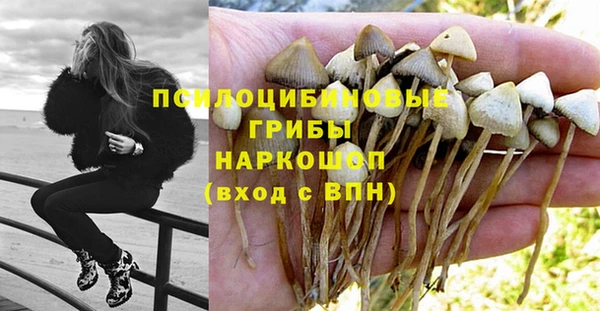 соль ск Покровск