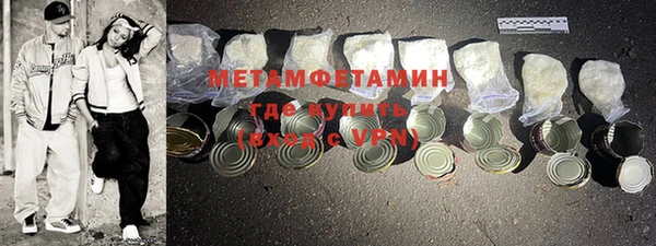 ПСИЛОЦИБИНОВЫЕ ГРИБЫ Грязовец