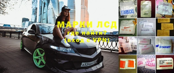 ПСИЛОЦИБИНОВЫЕ ГРИБЫ Грязовец