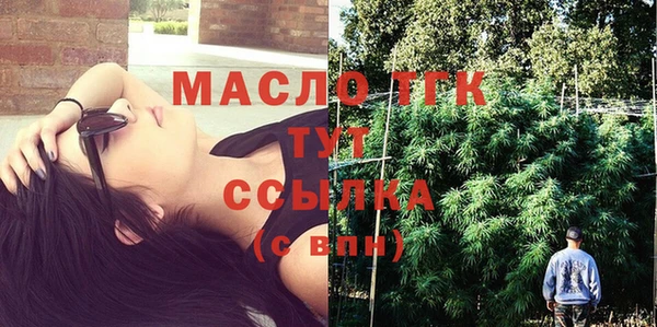 гидра Покачи