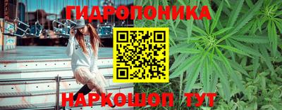 ПСИЛОЦИБИНОВЫЕ ГРИБЫ Среднеуральск