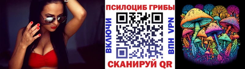 blacksprut маркетплейс  Фрязино  Псилоцибиновые грибы Magic Shrooms  shop как зайти  где продают наркотики 