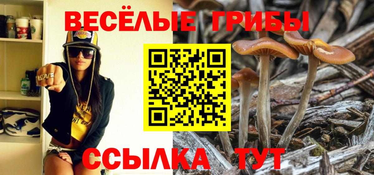 Псилоцибиновые грибы ЛСД  Вход с VPN  Фрязино 
