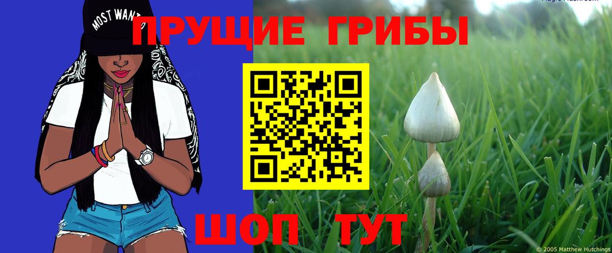 Галлюциногенные грибы прущие грибы Фрязино